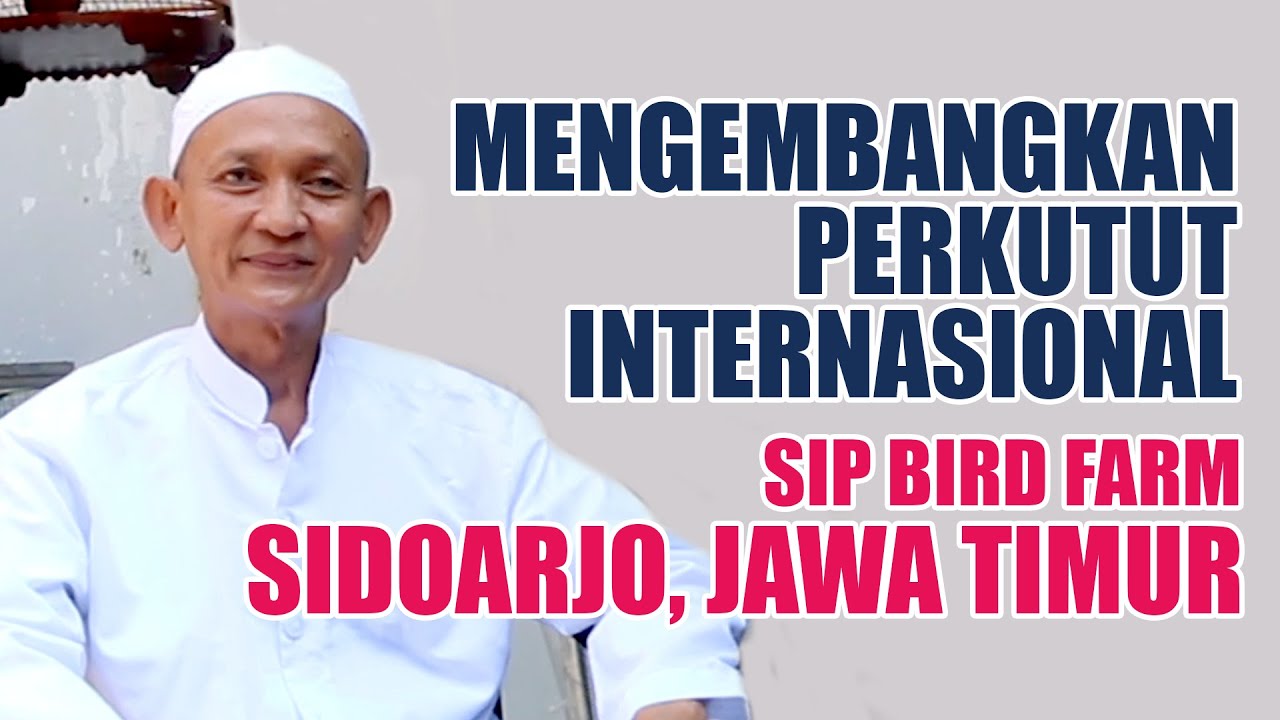 Litbang Perkutut Oleh SIPP Bird Farm Sidoarjo, Haji Muhsin Mengincar Pasar Internasional