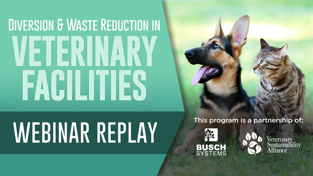 Webinar Replay | Reducing Waste in Veterinary Facilities