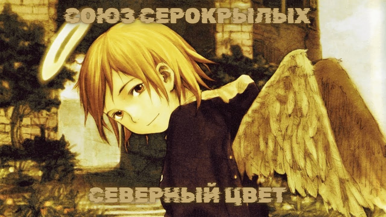 Союз Серокрылых (ED 1) - Северный цвет (Аквариум). Аниме оппенинги на русском!