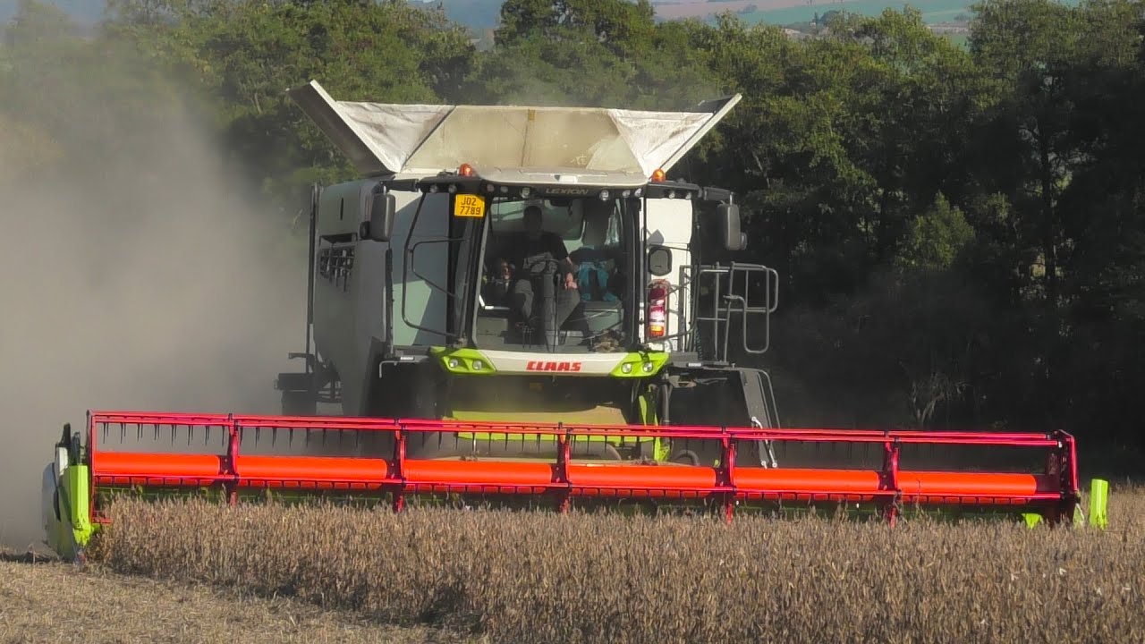 Sklizeň soji 2022 | Claas Lexion 6900, 6800