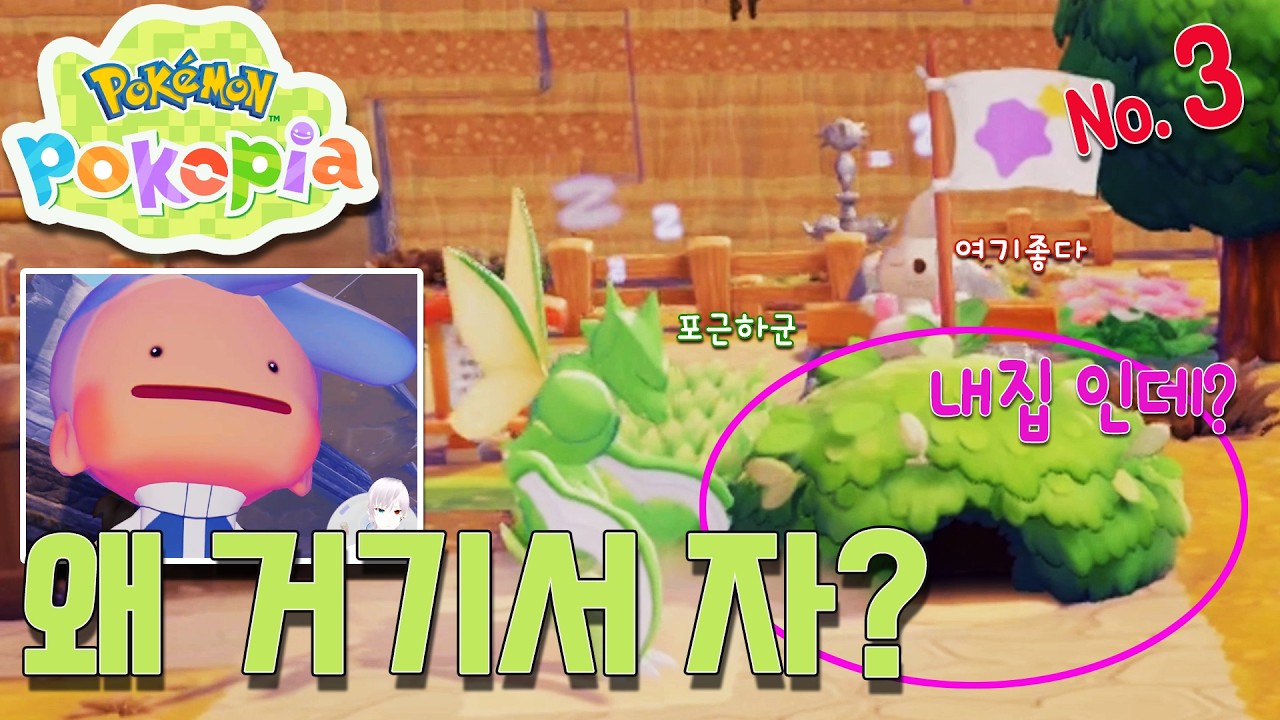 꼬북이와 둘이 간 곳에 뭐가 있었을까요? [포켓몬 포코피아 No.3]