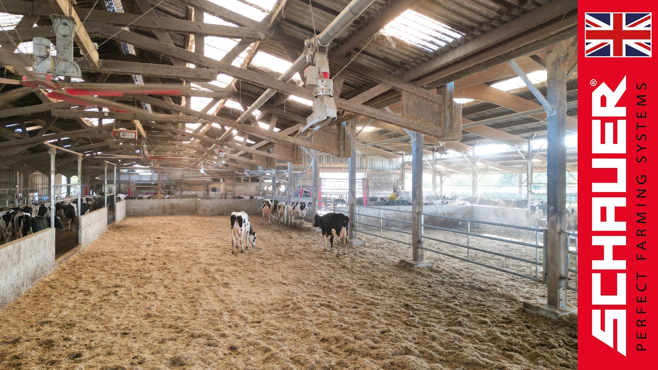 Tertre Goutte Farm (Bretagne) – Automated Bedding with Strohmatic Air ASD 🐄✨