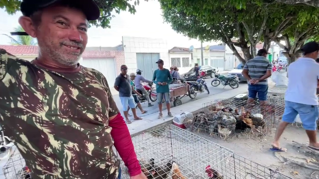 Feira da Galinha em São José da tapera - 23 - 01 - 2026 #nordeste
