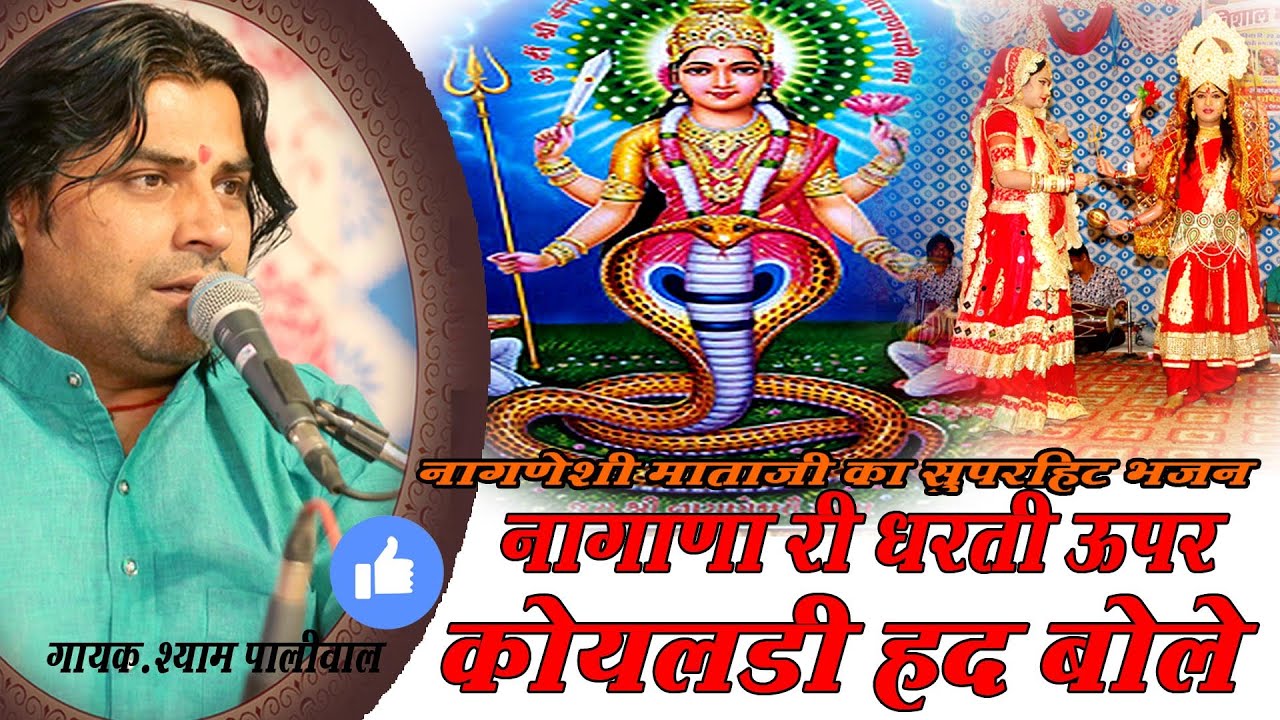 नागाणा री धरती ऊपर कोयलड़ी हद बोले  स्पेशियल #shyampaliwalbhajan 