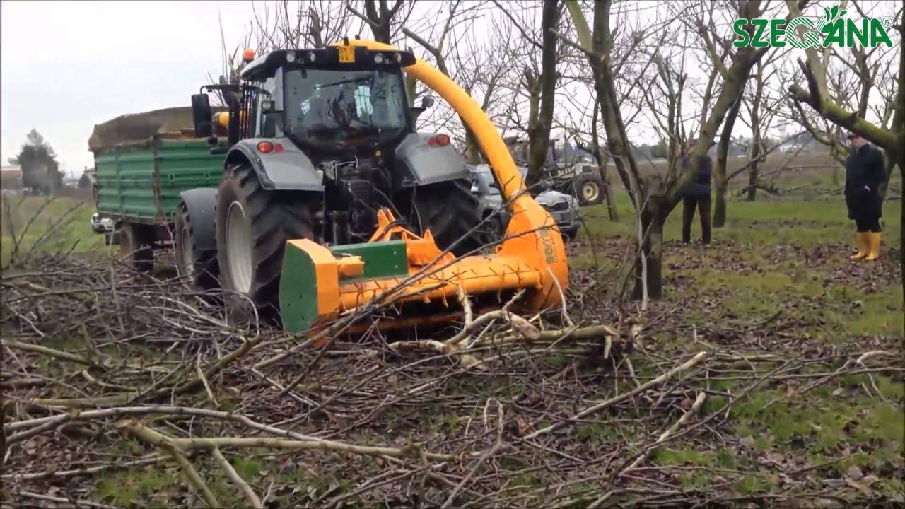 SERRAT BIOMASS 150
