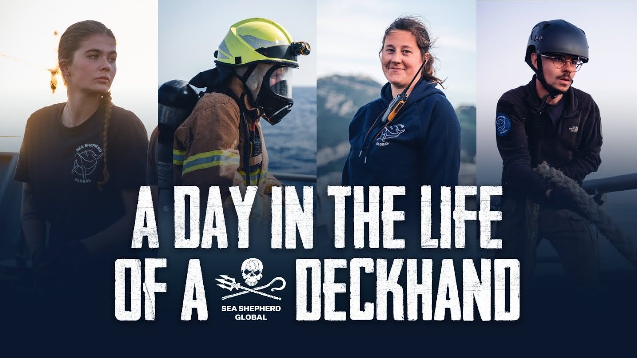 A Day in the Life of a Deckhand