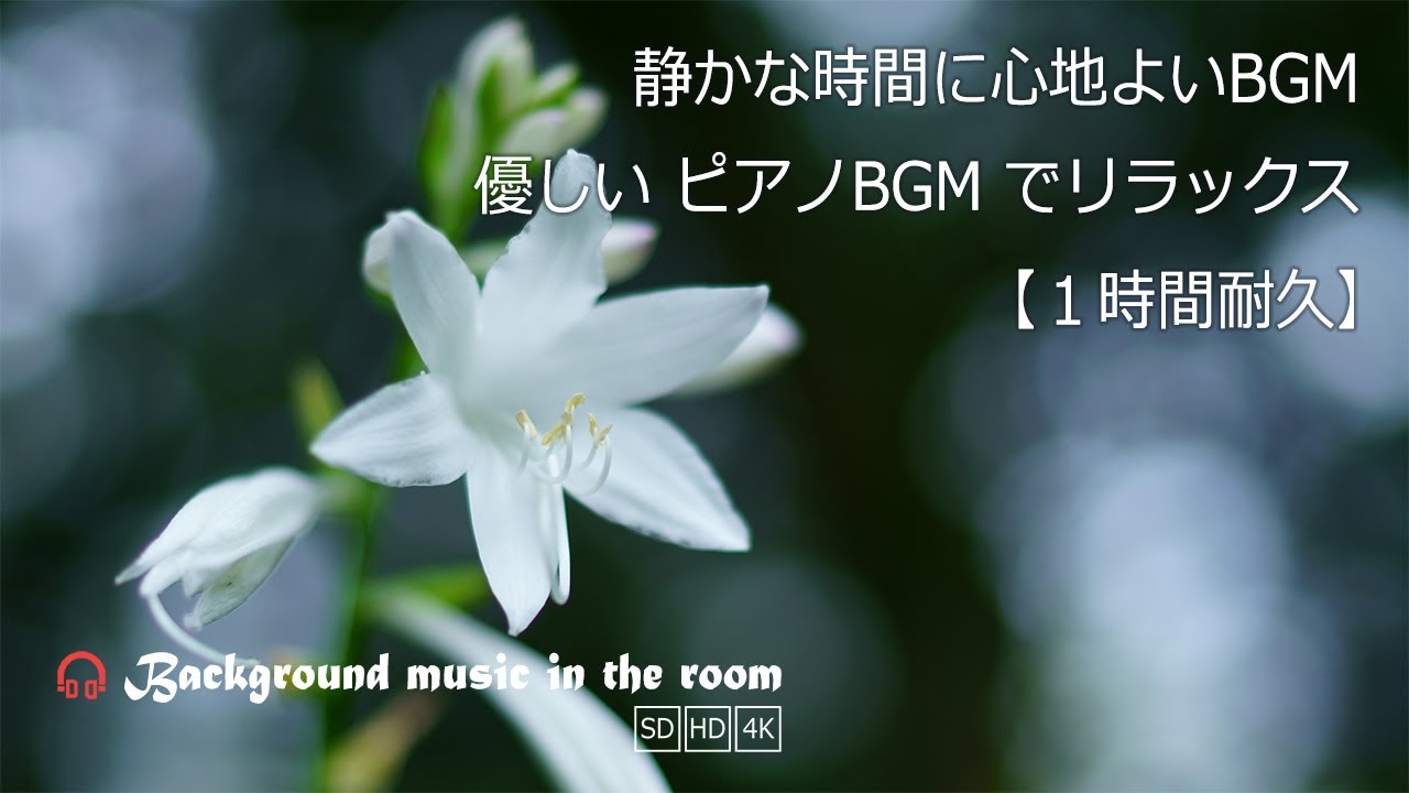 静かな時間に心地よいBGM｜ 夏の花と森林浴 自律神経に優しい癒しの音楽 ピアノBGM