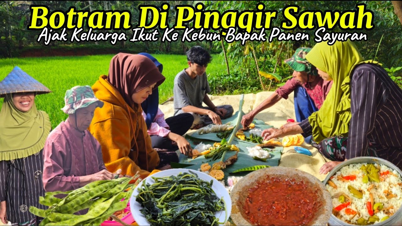 HIDUP DI DESA | Ikut Panen Sayuran Ke Kebun Bapak, Botram Di Pinggir Sawah