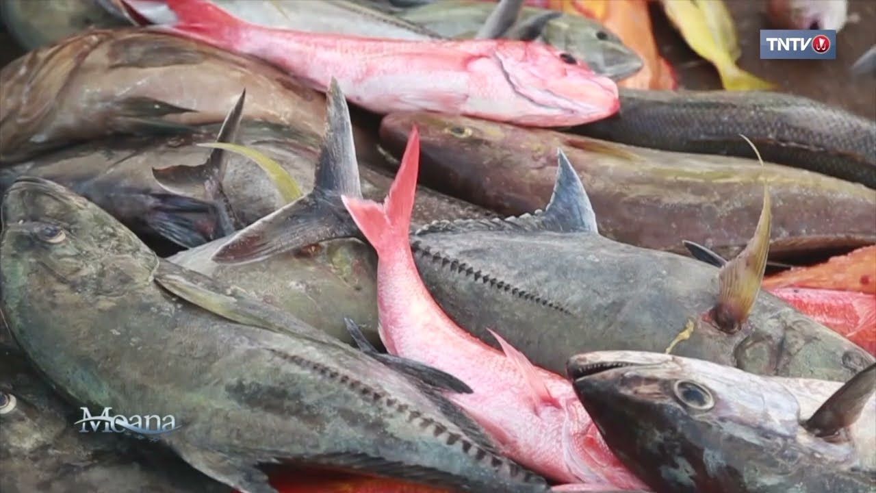 Pêche à Ua Pou dans l'archipel des Marquises avec Heimata