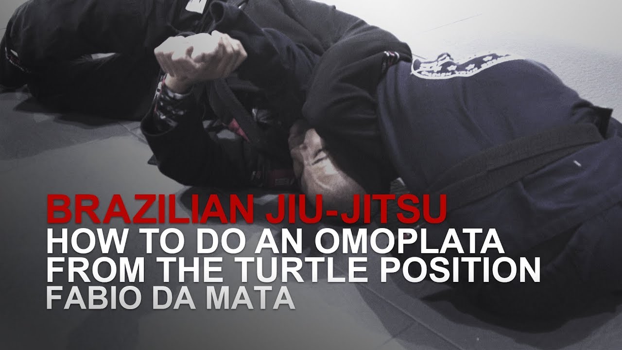 BJJ: How To Do An Omoplata From The Turtle Position | Evolve University