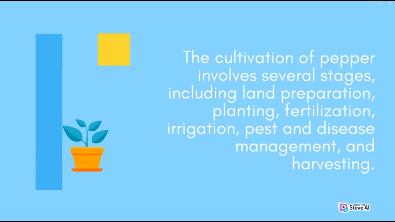 Land management in pepper growing | Part 1 | Farming Futures