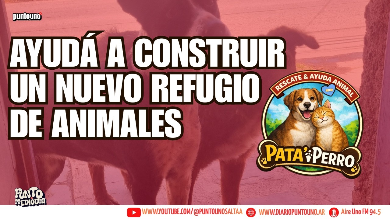 Ayudá a construir un nuevo refugio de animales | Pataiperro necesitan de tu ayuda!
