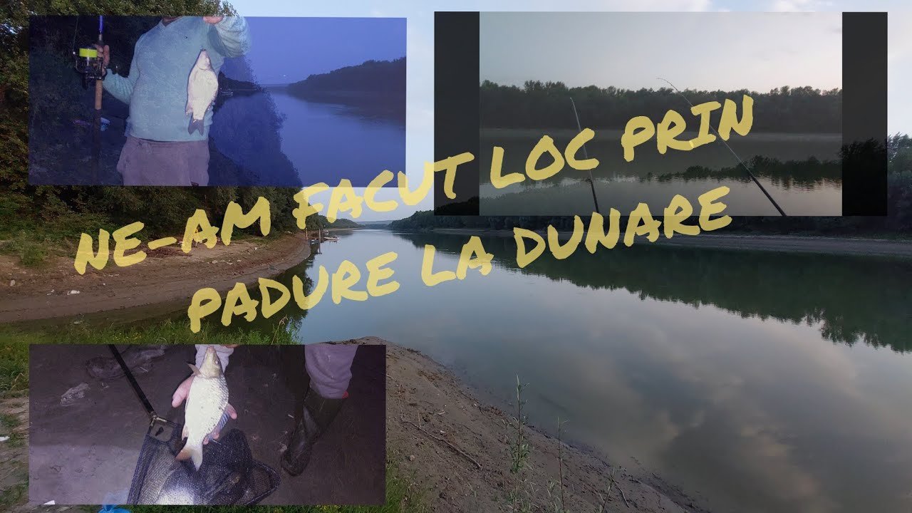 O zi de pescuit la Dunare. Ne-am facut loc prin padure sa ajungem la locul dorit . Crap , caras