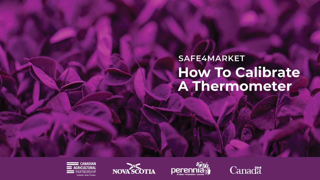 How To Calibrate A Thermometer