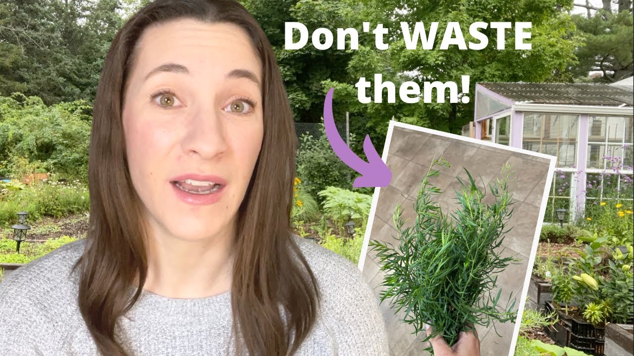 3 WAYS of Preserving Herbs for Winter 🌱 Tarragon Salt, Vinegar, & Butter!Zone 6 Herb Garden Harvest