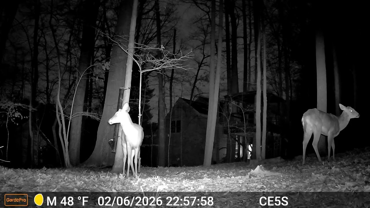 Cain cam 260207 E5S