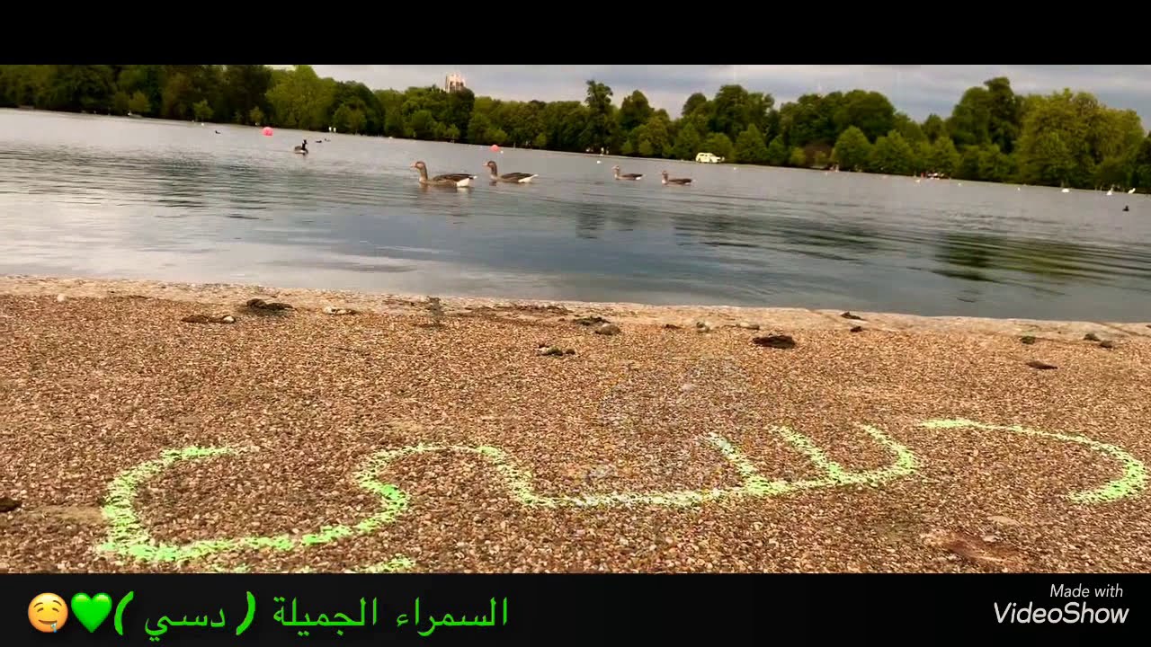 دوله العطا &إنتصار دسي