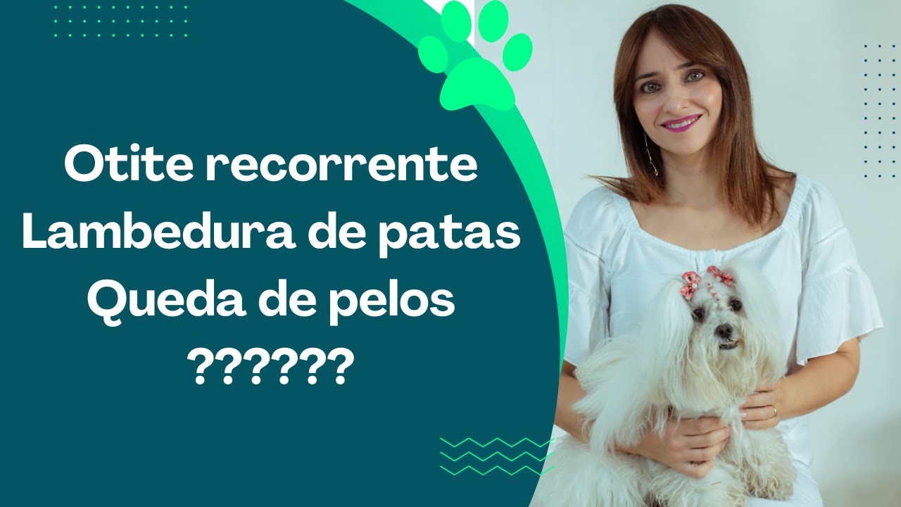 Dermatite Atópica Canina! Causas, controle e tratamento! NOVIDADES!