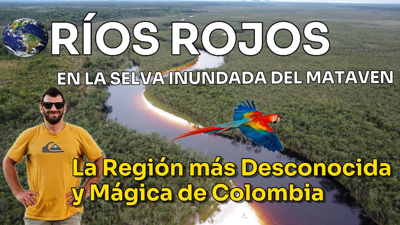 🌿 Selva Sumergida: Los Ríos Ocultos del Matavén, Colombia