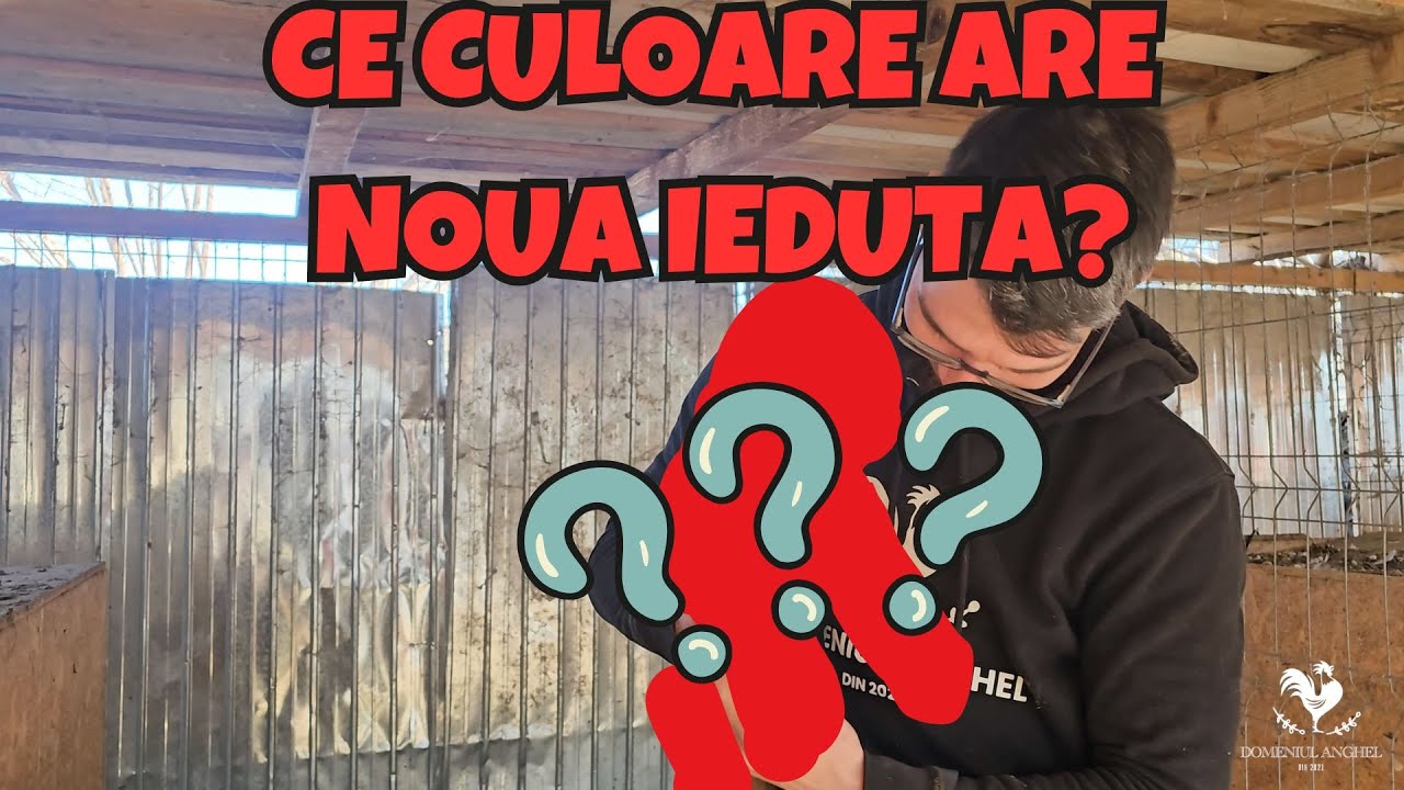 3 SUFLETE NOI / UNA NASCUTA IN FERMA