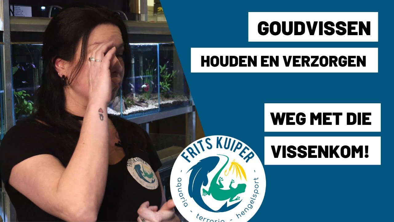 Goudvissen - Niet in een kom - Het houden en verzorgen