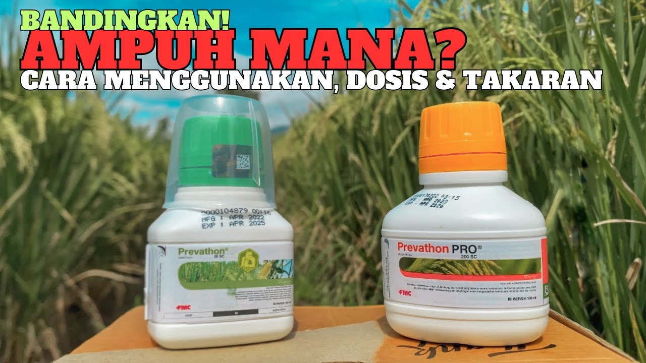 Perbedaan prevathon 50sc dan prevathon Pro obat ampuh mematikan penggerak batang padi Dosis prevaton