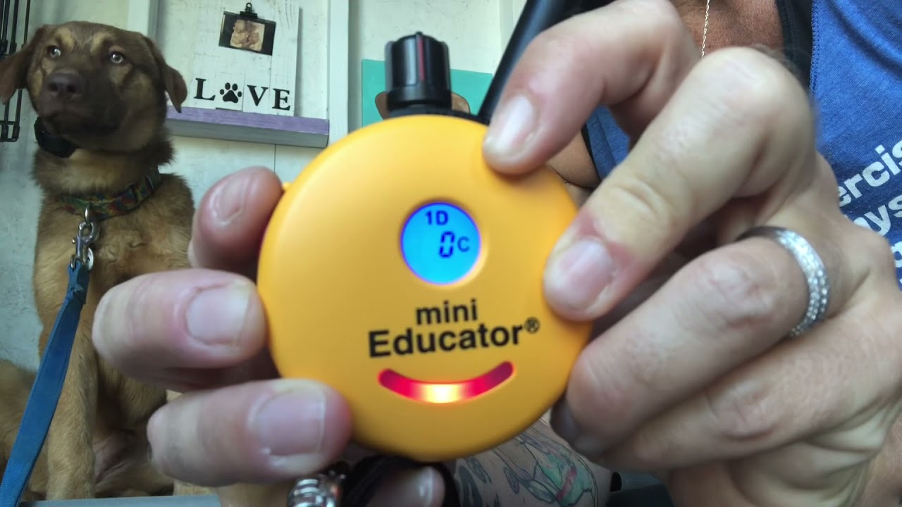 Getting the proper fit and working level on a mini educator