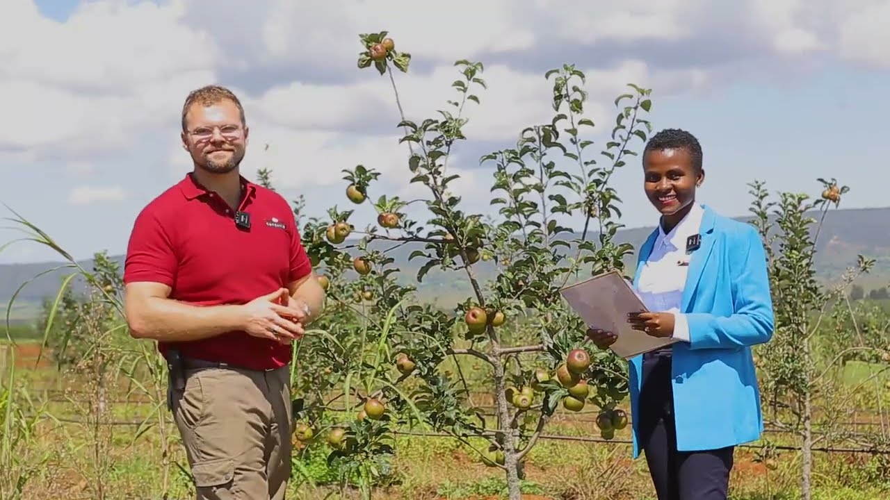 5 Reasons to Invest in Apple Farming🍎🍏