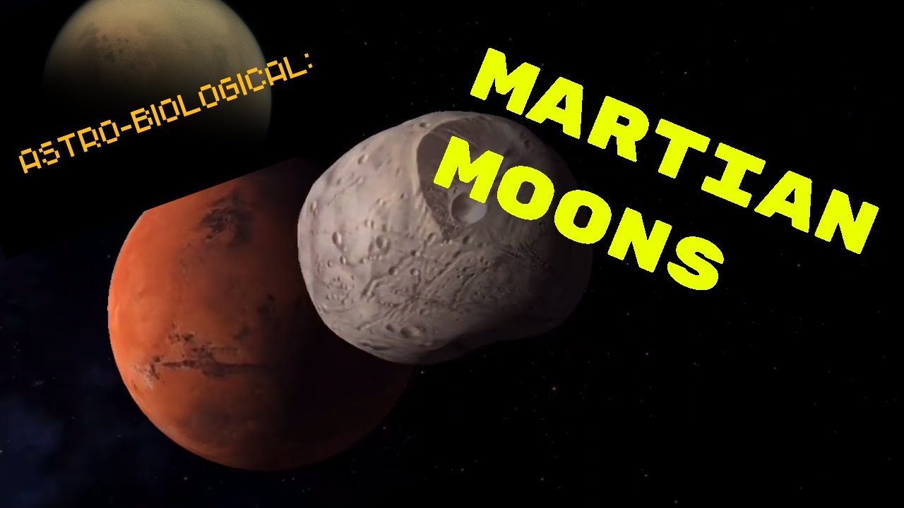 AstroBiological in Martian Orbit