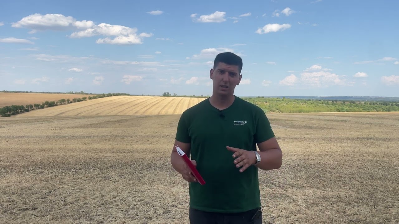 Чи має право на життя посів Колісницею? Результати випробування!