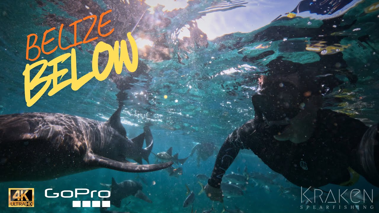 Dive Into Belize (Tons of Sharks!)