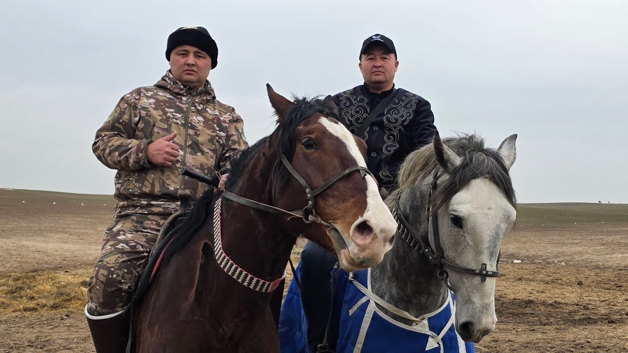 09.02.2026 Қазығұрт ауданы Қызылқия ауылы Құрбанбаевтар әулеті Нұртаза Жәнібек мырзалардың көкпары