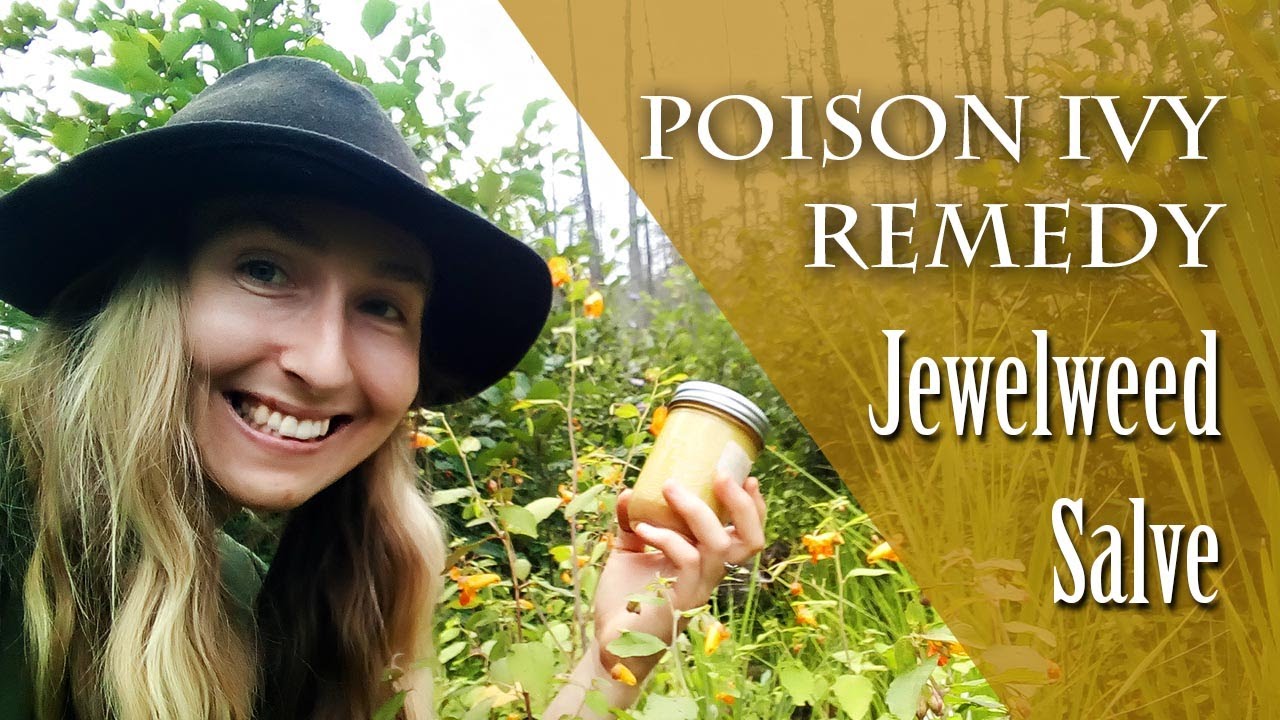 POISON IVY REMEDY! Jewelweed Healing Salve For Itchy Skin!