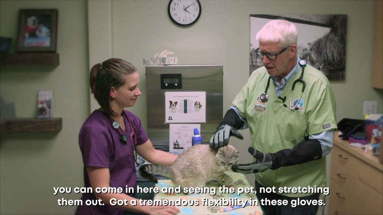 Dr. Marty Becker discusses The ArmOR Hand Animal Handling Gloves