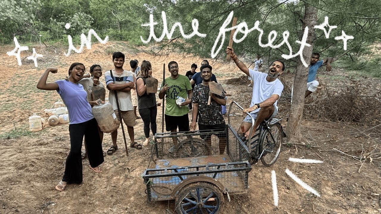 went solo to volunteer in auroville