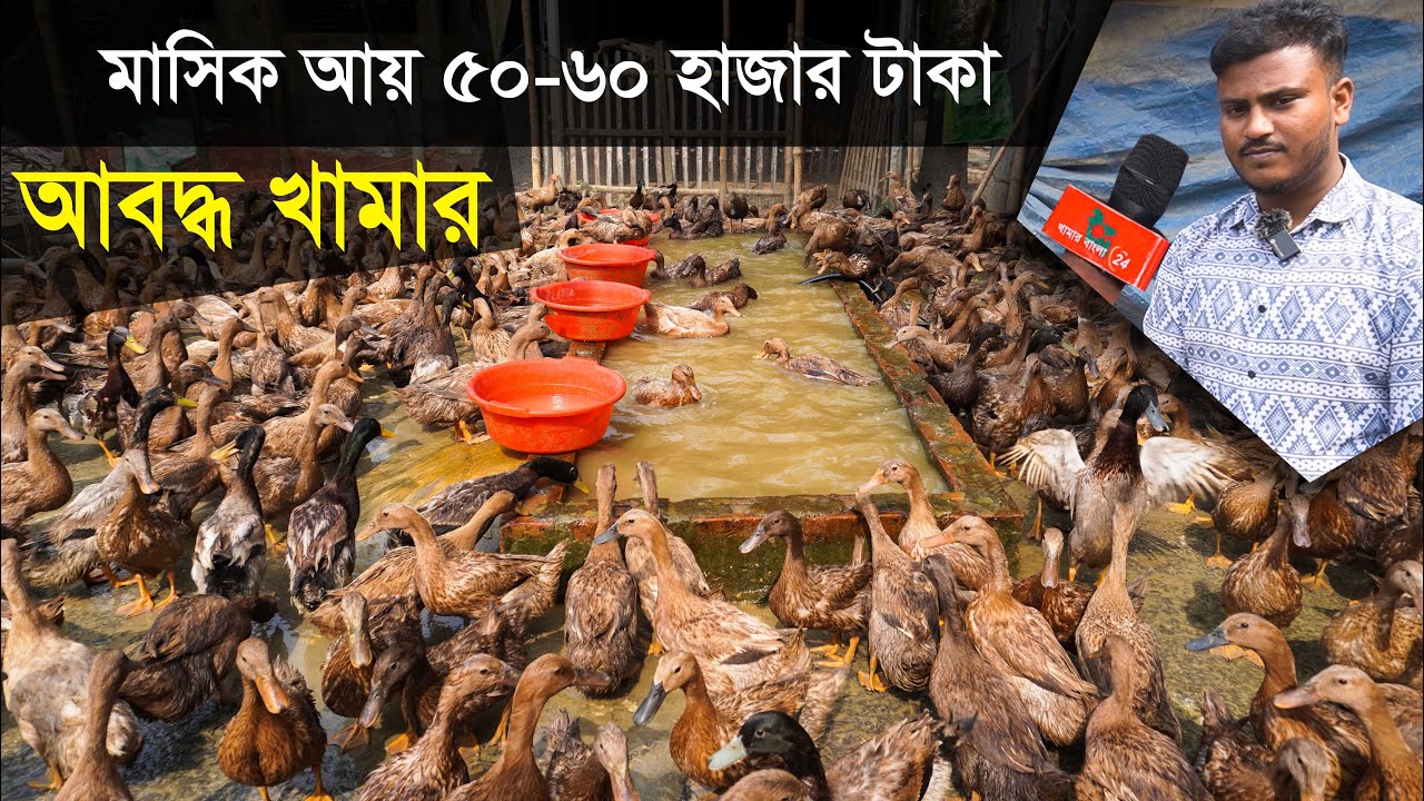 আবদ্ধ খামার | মাসিক আয় ৫০ থেকে ৬০ হাজার টাকা | হাঁসের খামার | Duck farming | Khamar Bangla 24.