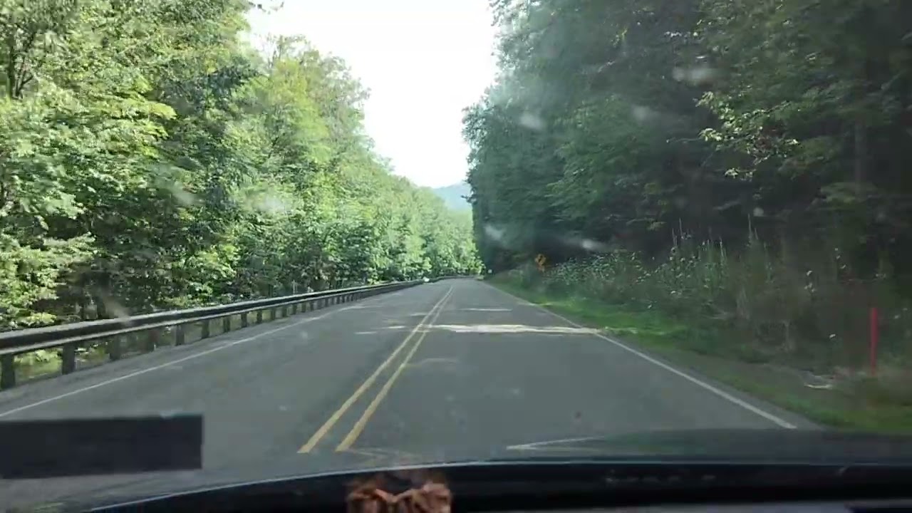 Elk State Forest Drive.