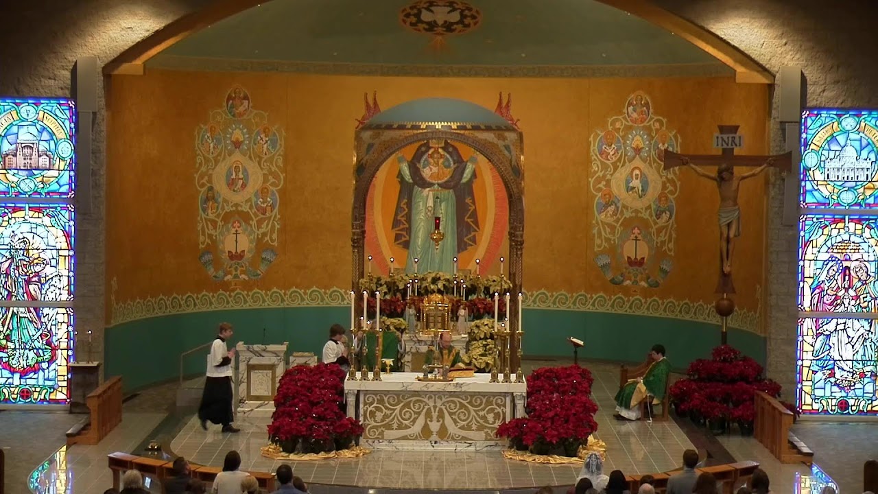 Sunday Mass:  Weekend of February 1, 2026 at 9 am St. Michael Catholic Church - St. Michael, MN