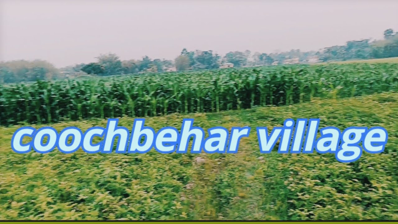 Chakchaka village of coochbehar/jhinaidanga shahi colony para