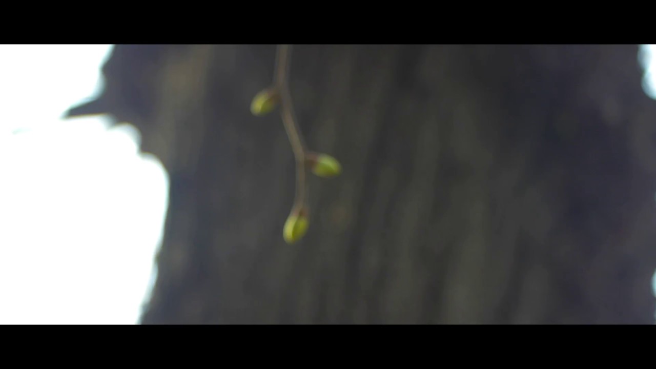 Buchach. Spring. 2018 - Бучач. Весна. (Lumix gh2 hack cinematic footage)