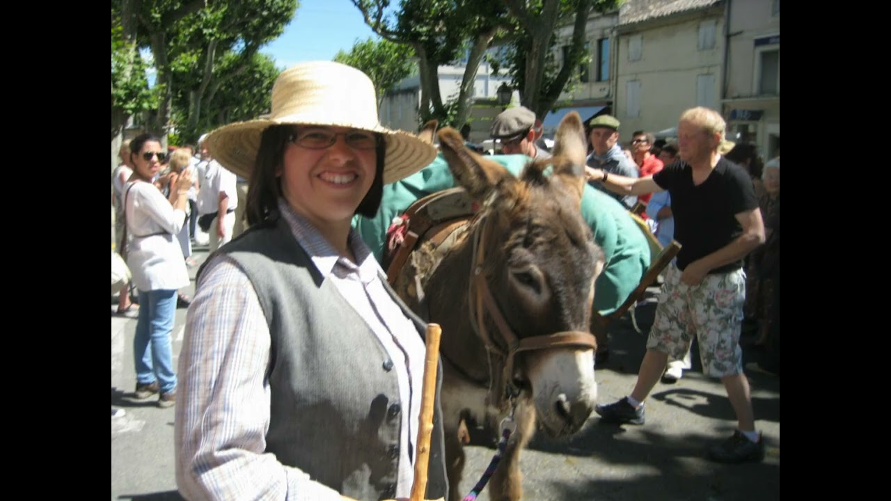 Transhumance Saint Rémy de Provence