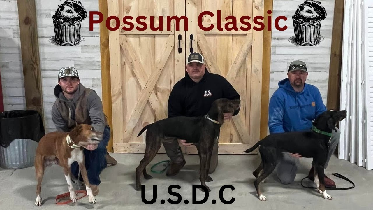 USDC Possum Classic (Semi Final)