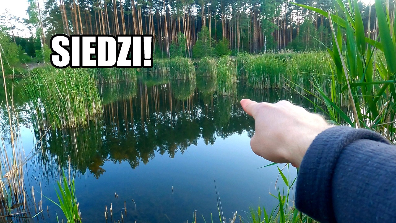 Ryby Brały Przy Samej TRZCINIE - Spławik NIE Odpoczywał!