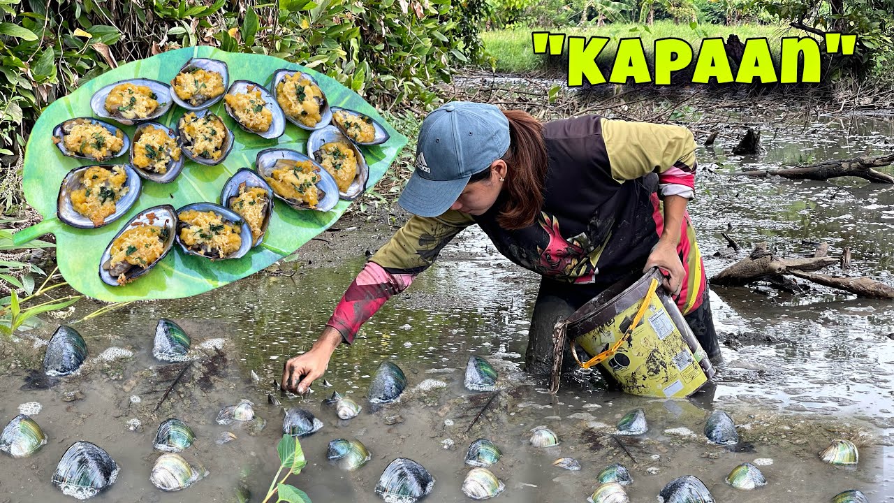 EP-499 | Pangangapa ng bildat sa putikan | Bake bildat ala madonna | Buhay Probinsya