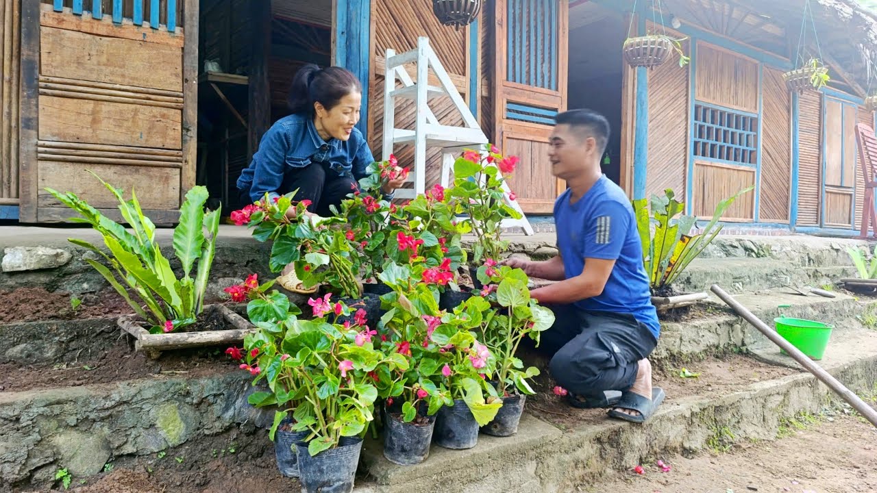 LAN's happiness is CUONG's great joy. Together we build a beautiful farm every day