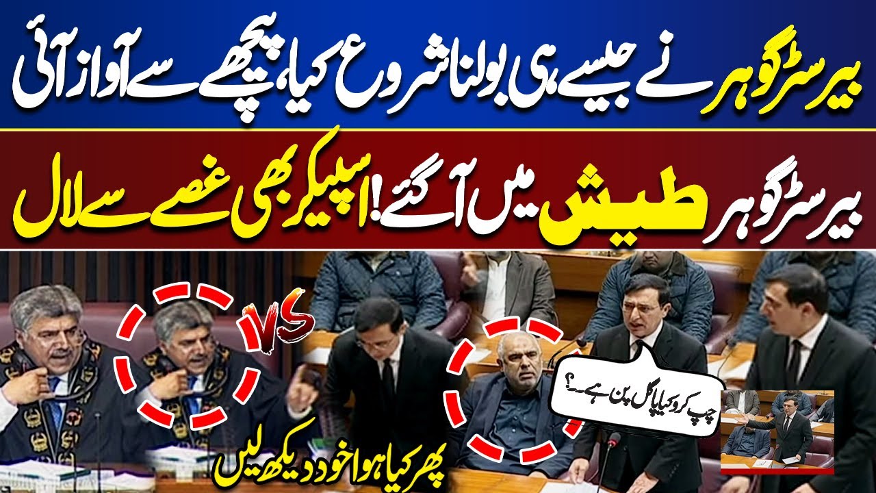 Shut Up | What Madness Is This? Barrister Gohar Loses Temper | Shocking Scene | Watch What Happened