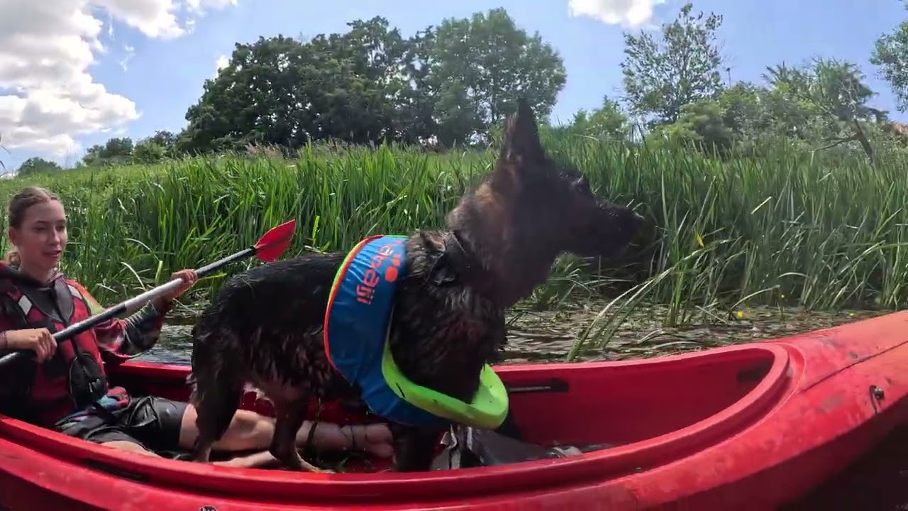 Spływ Kajakowy Widawą | Kajaki we Wrocławiu z Kayak Tours 🚣🌿