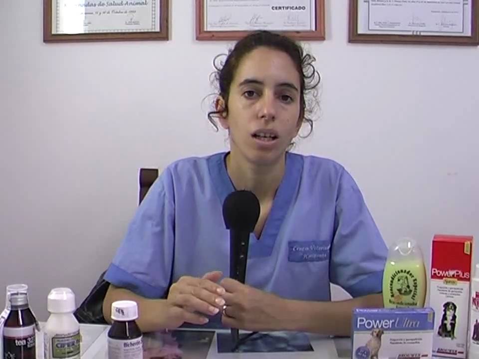 Veterinaria - Las pulgas