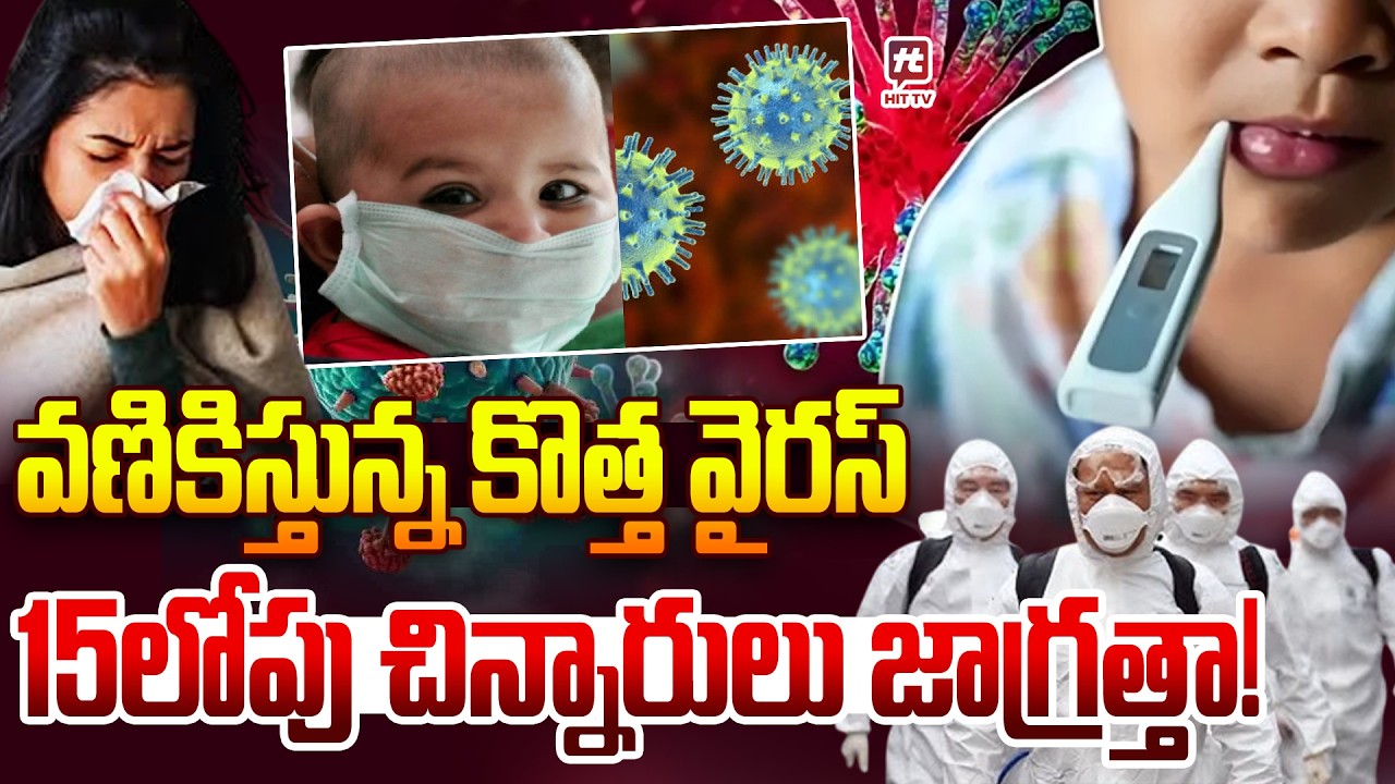 వణికిస్తున్న కొత్త వైరస్...Dangerous Virus In India | Chandipura Virus Symptoms & Precautions