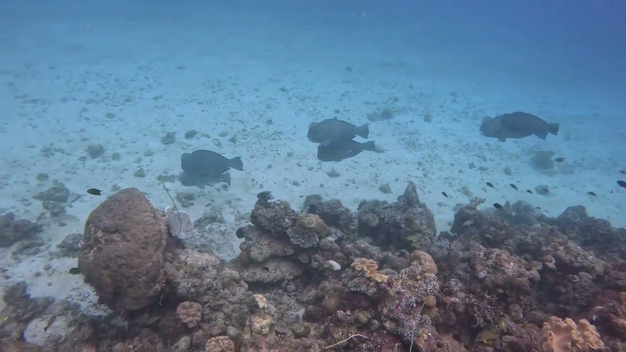 Albatross Passage, Lissenung Island Resort, PNG